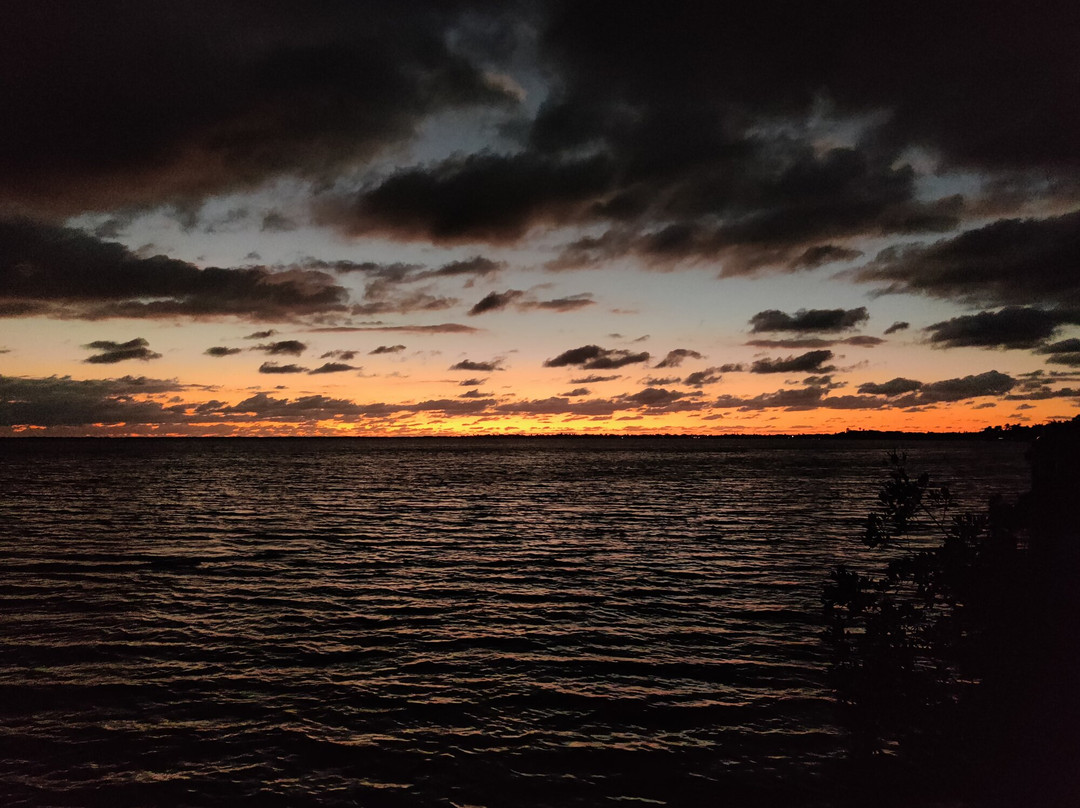 Sugarloaf Pontoon Adventure Tours-Sugarloaf Key必去景点