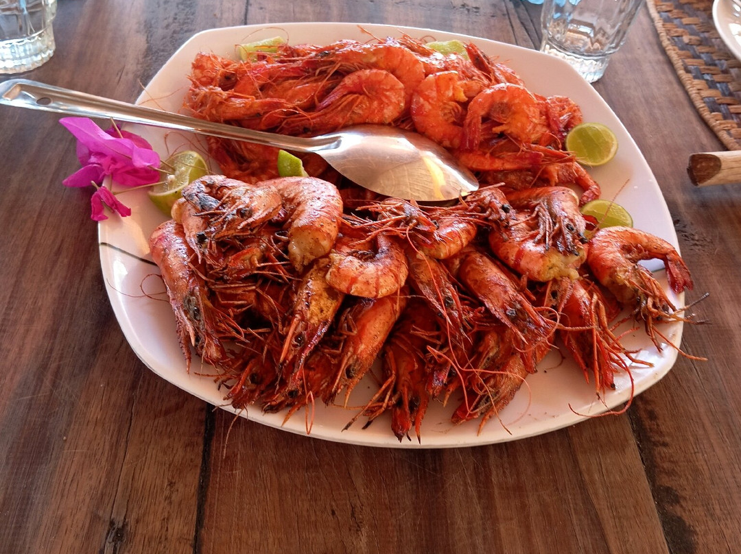 Giornale Kenya Safari - Day Tours-瓦塔木必去景点