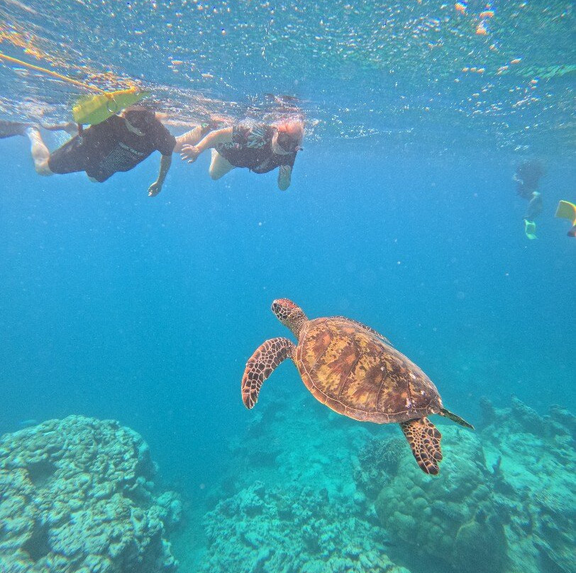 Sea Pace Rarotonga-堤堤卡维加必去景点