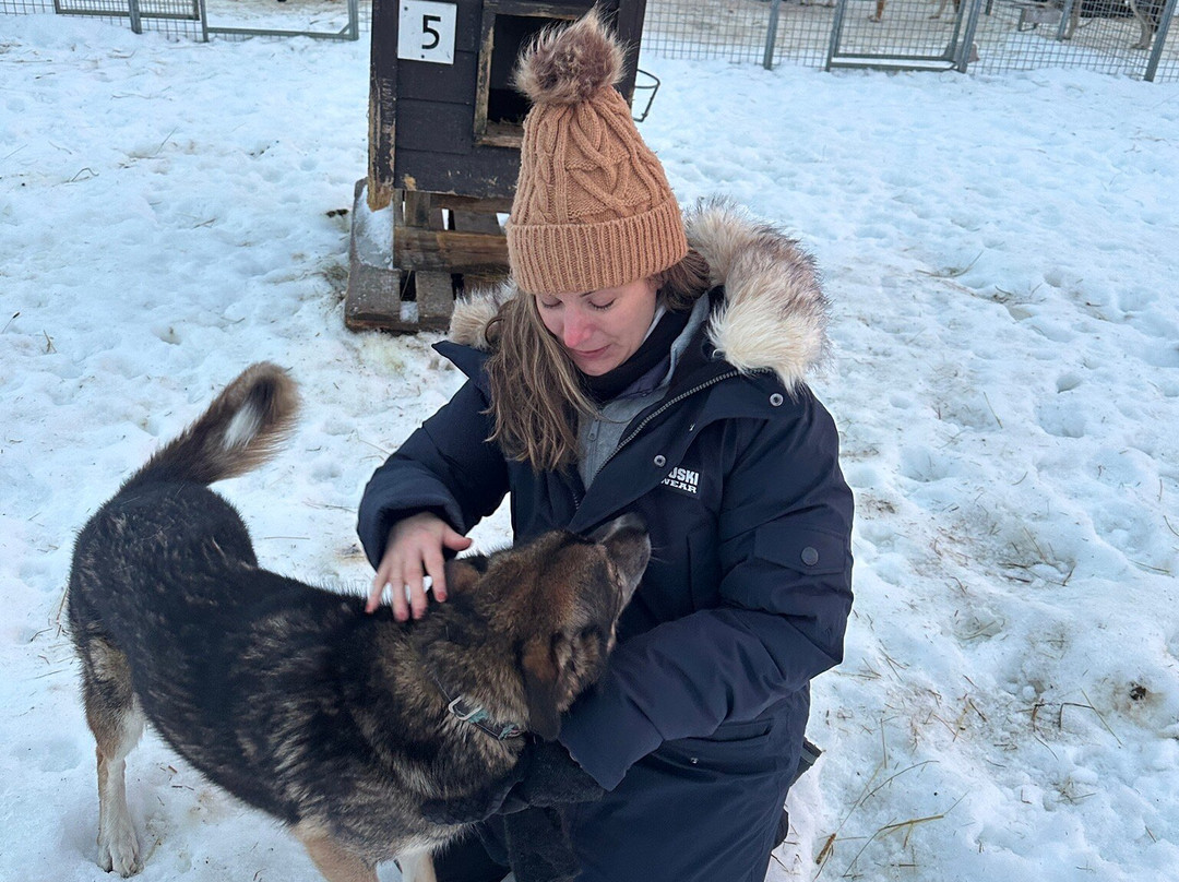 Lyngen Husky Safari-Svensby必去景点