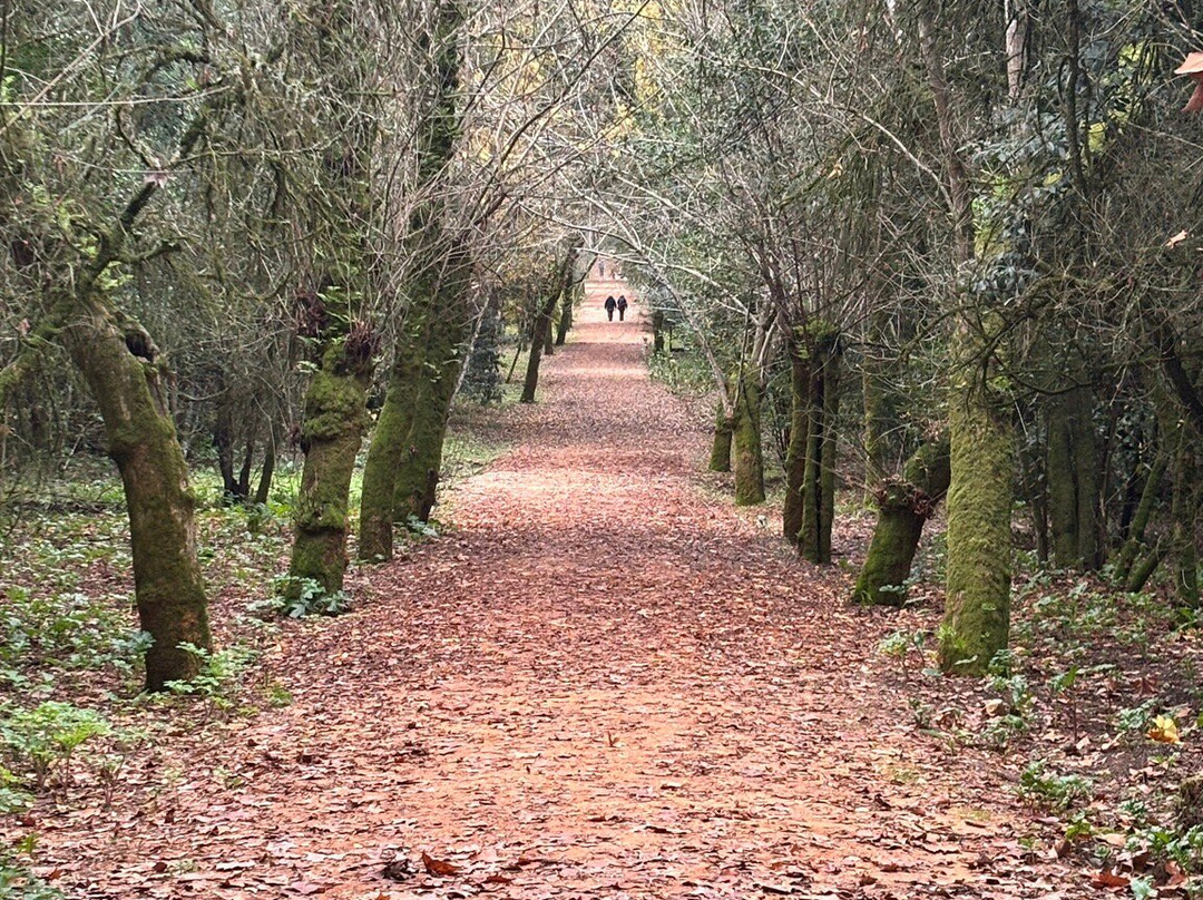 Mata Nacional dos Sete Montes-Tomar必去景点