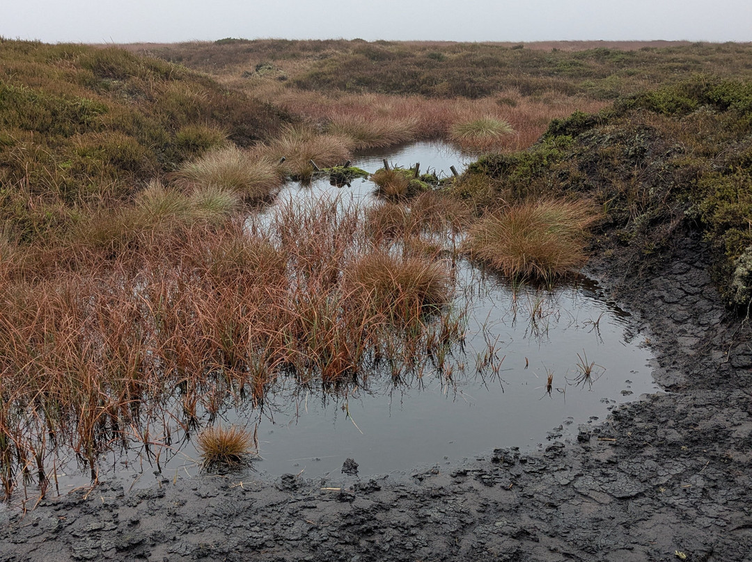 Venture Elements-谢菲尔德必去景点