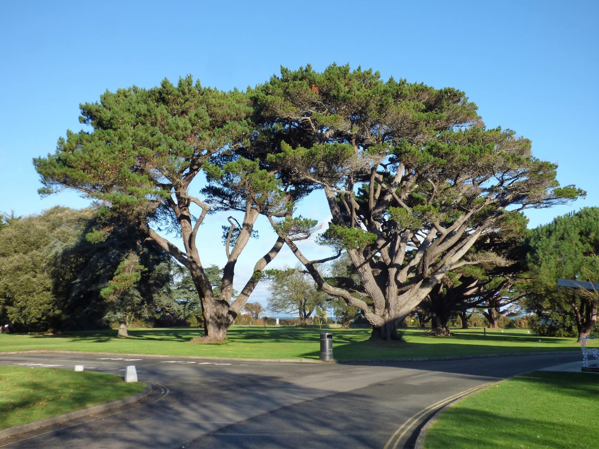 Warner Hotels - Bembridge Coast-官方