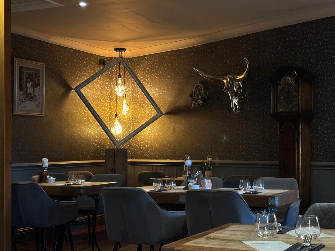 The Curious Fox主图