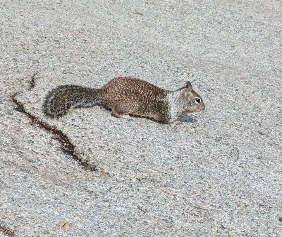 Nevada Falls Loop-优胜美地国家公园必去景点