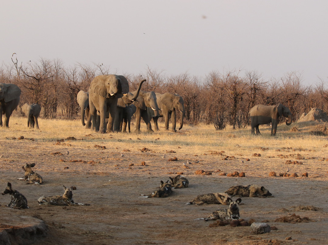 Letaka Safaris-马翁必去景点