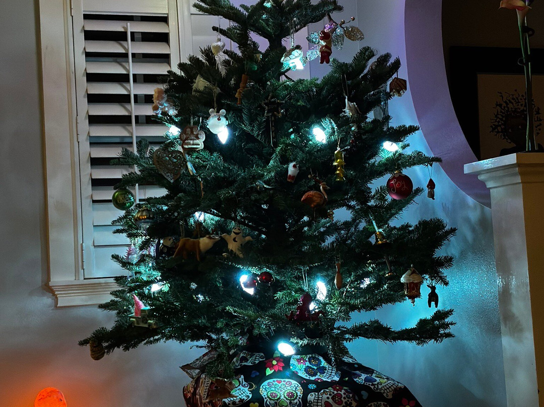 Ergle Christmas Tree Farm