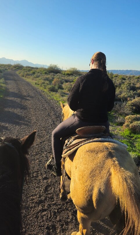 KOLI Equestrian Center-钱德勒必去景点