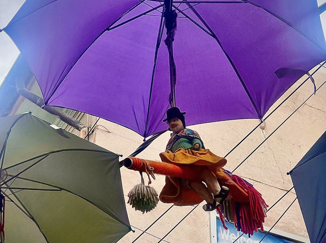 Terra Gaia Bolivia-拉巴斯必去景点