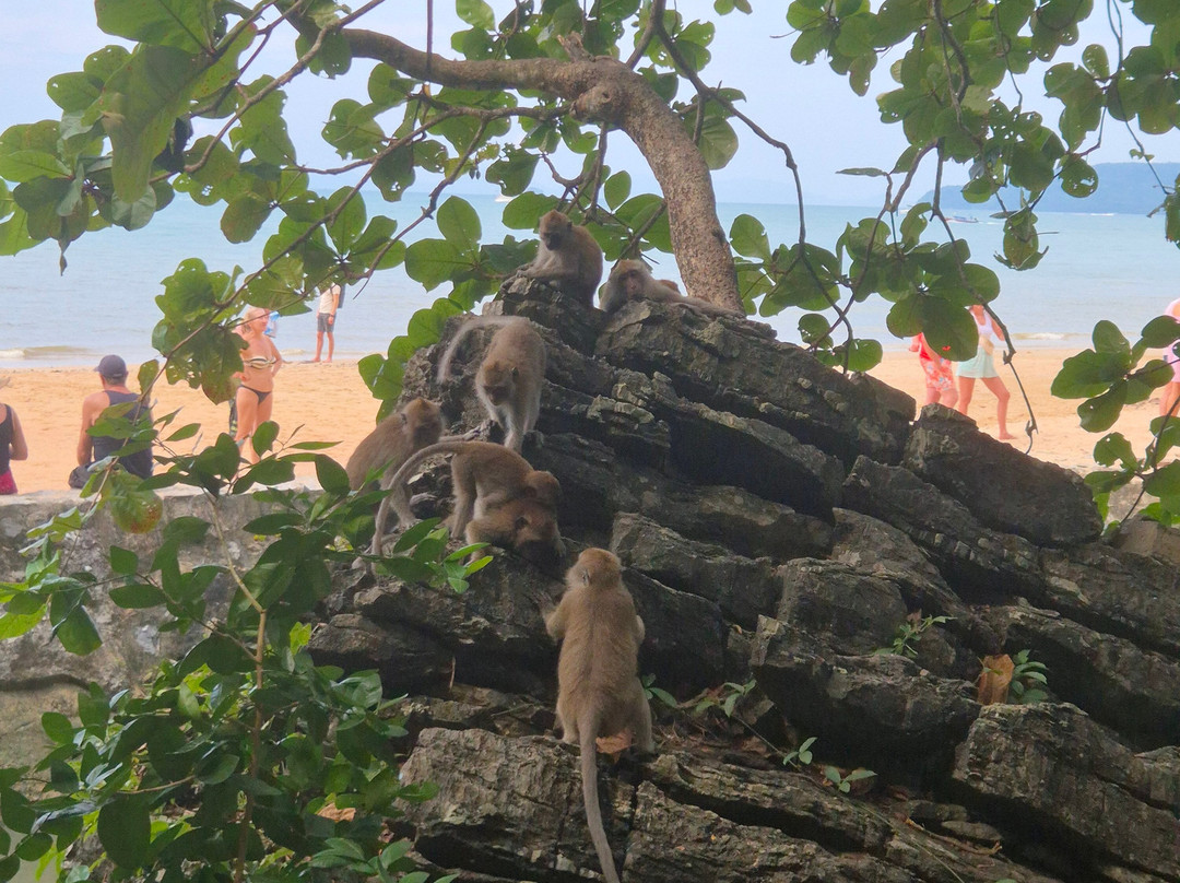 Monkey Trail-奥南必去景点