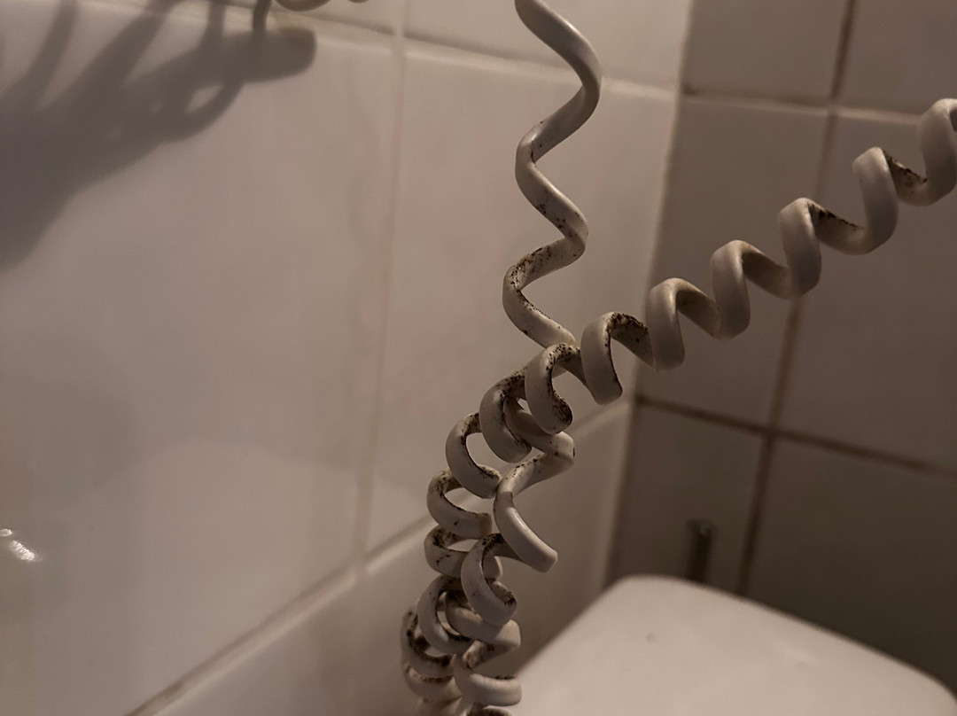 Hôtel des Platanes主图