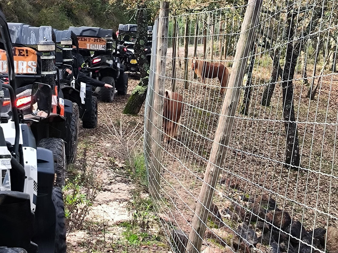 SicóTOURS Buggy Adventure-Pombal必去景点