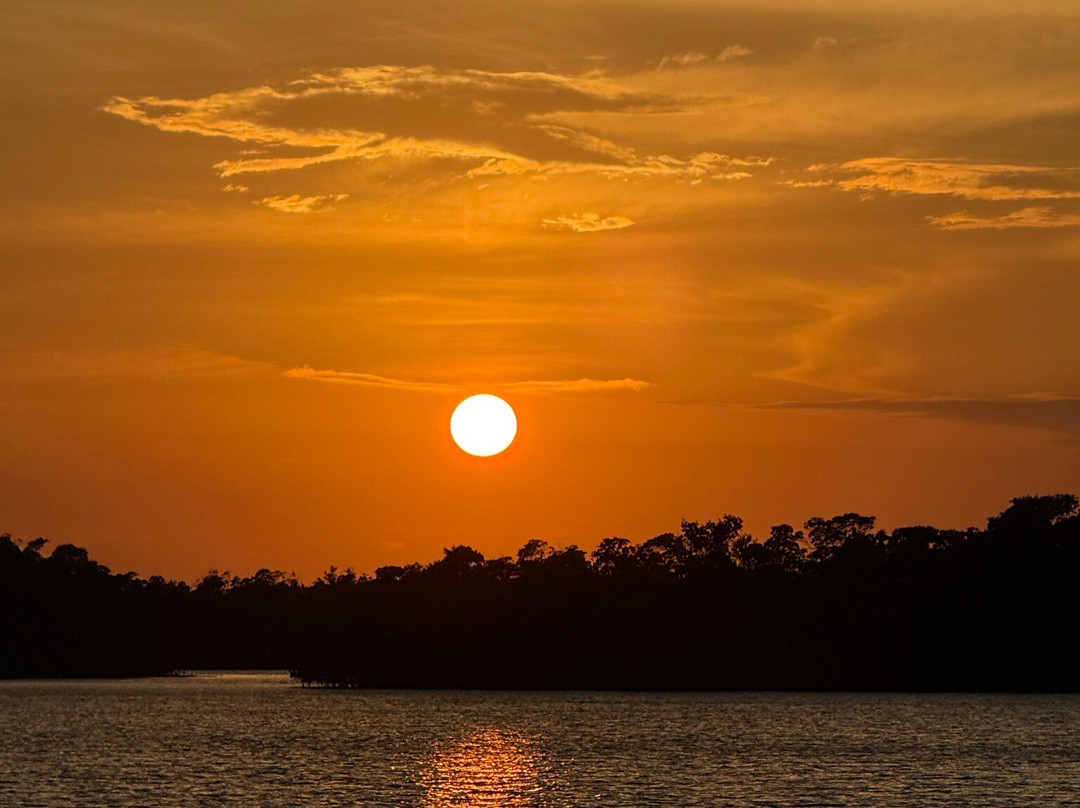 Latitudes Tours-Ruskin必去景点