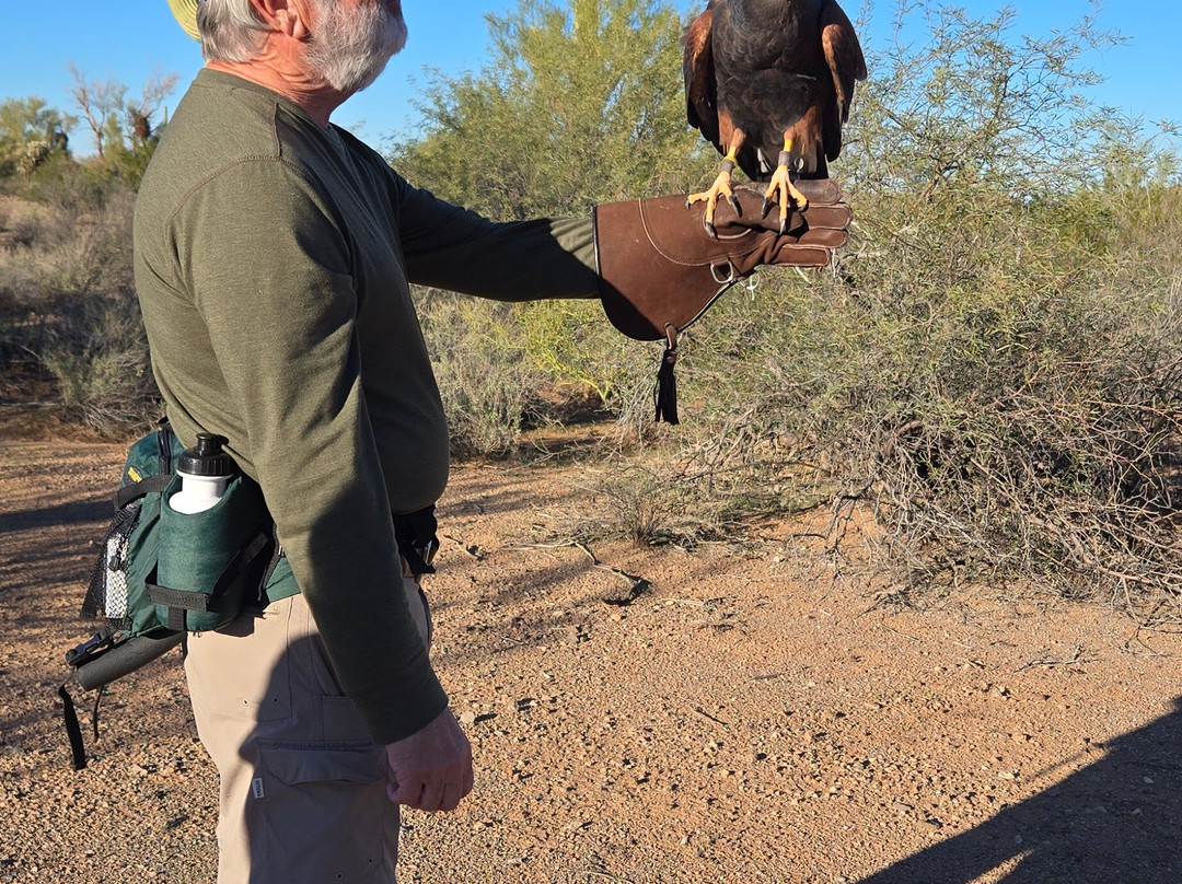 Sky Island Falconry Experience-图森必去景点