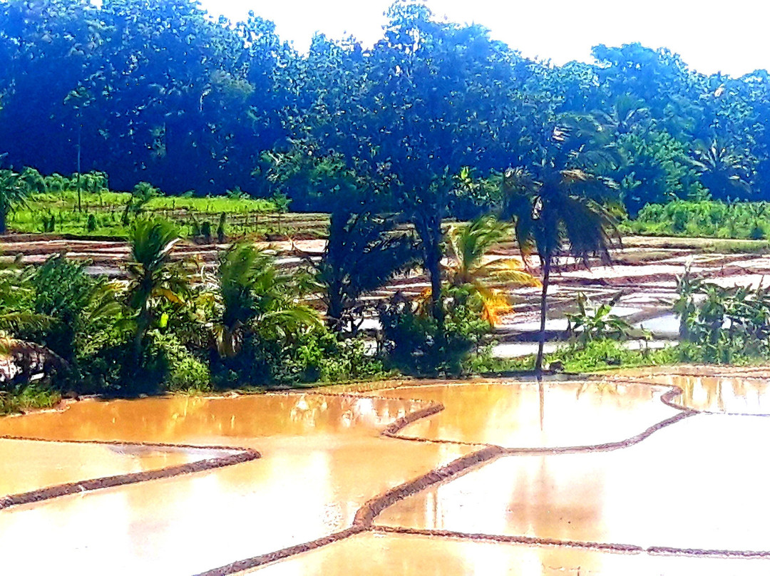 Tour Hope Lanka-卡图纳耶克必去景点