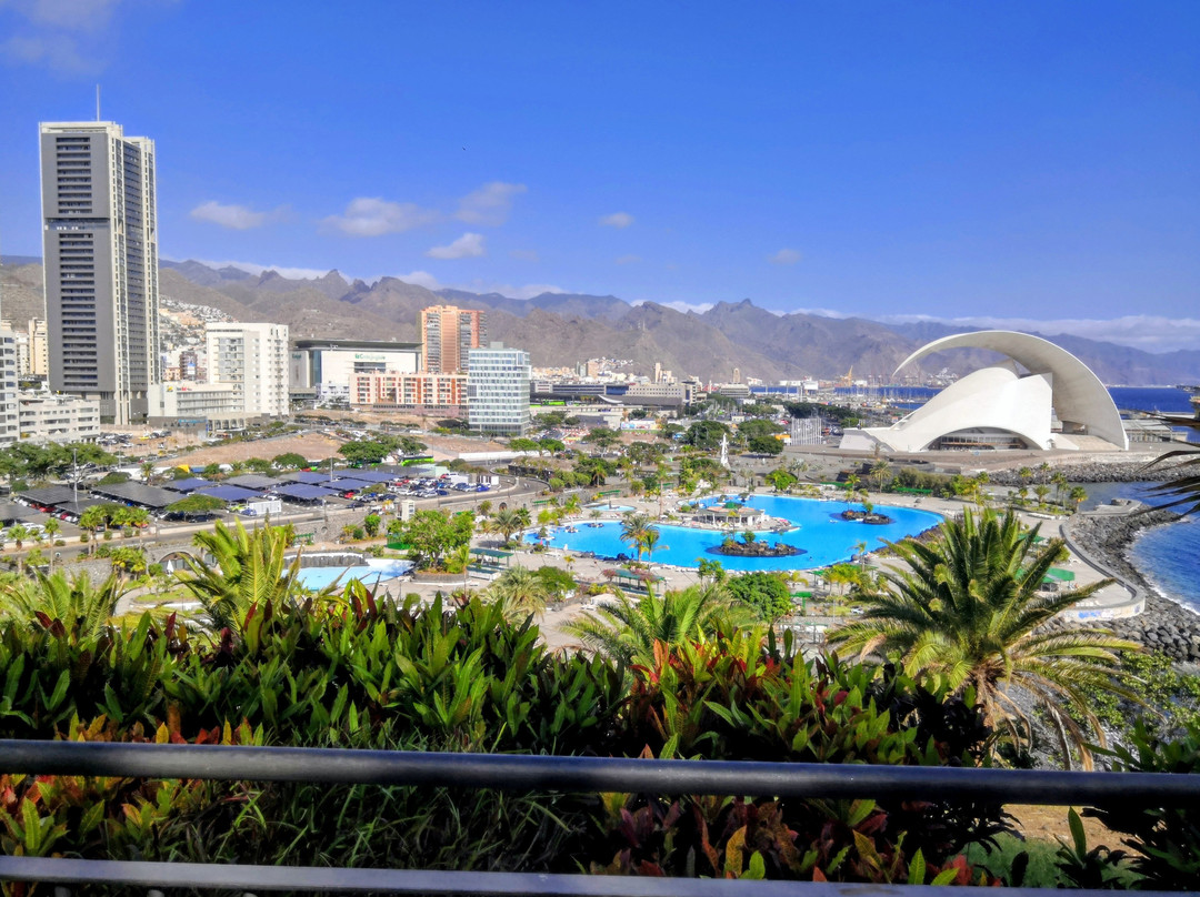 Jardín Botánico del Palmetum-圣克鲁斯-德特内里费必去景点