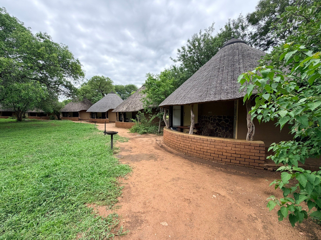 Shinzelle Safaris-雾观必去景点