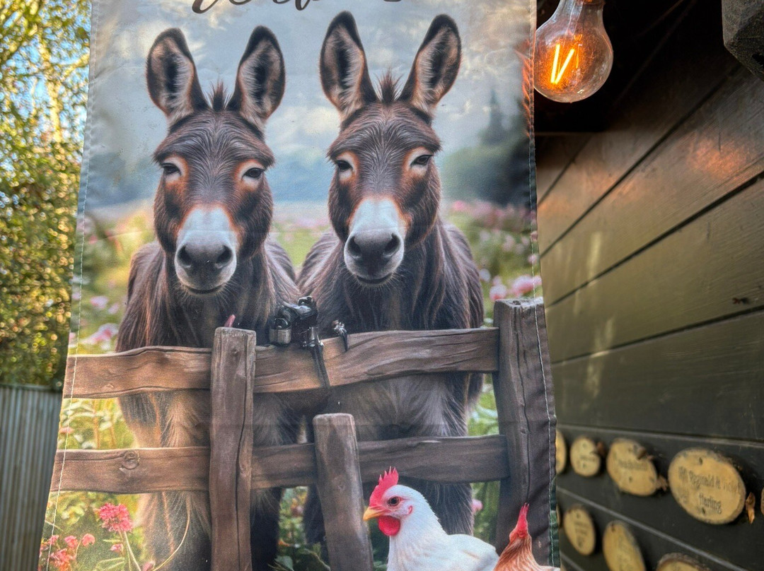 Hayling Island Donkey Sanctuary-海灵岛必去景点