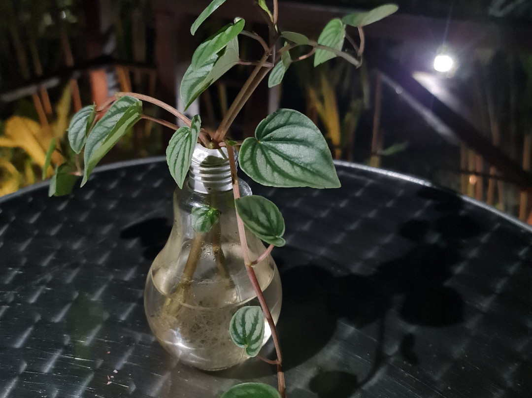 La Kukula Lodge主图