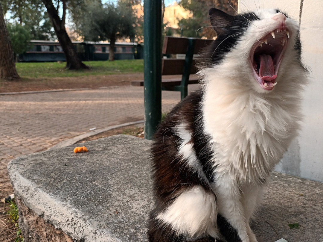 Kalamata Municipal Railway Park-卡拉马塔必去景点