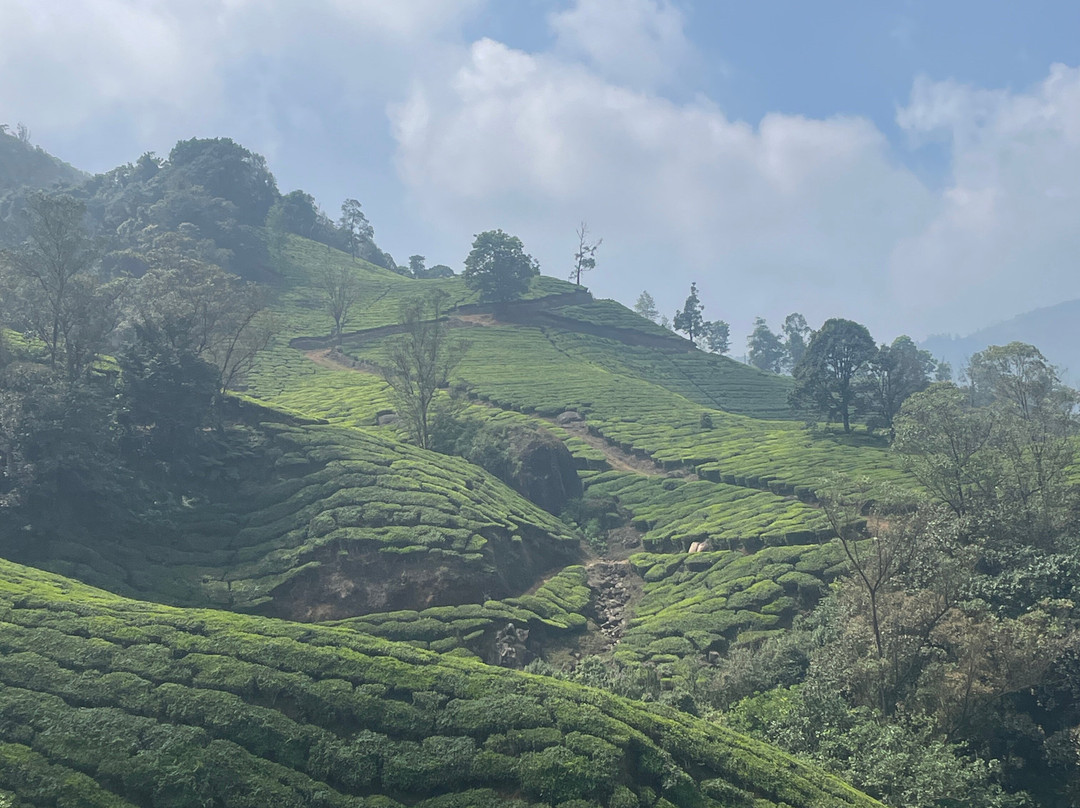 Munnar Info-慕那尔必去景点