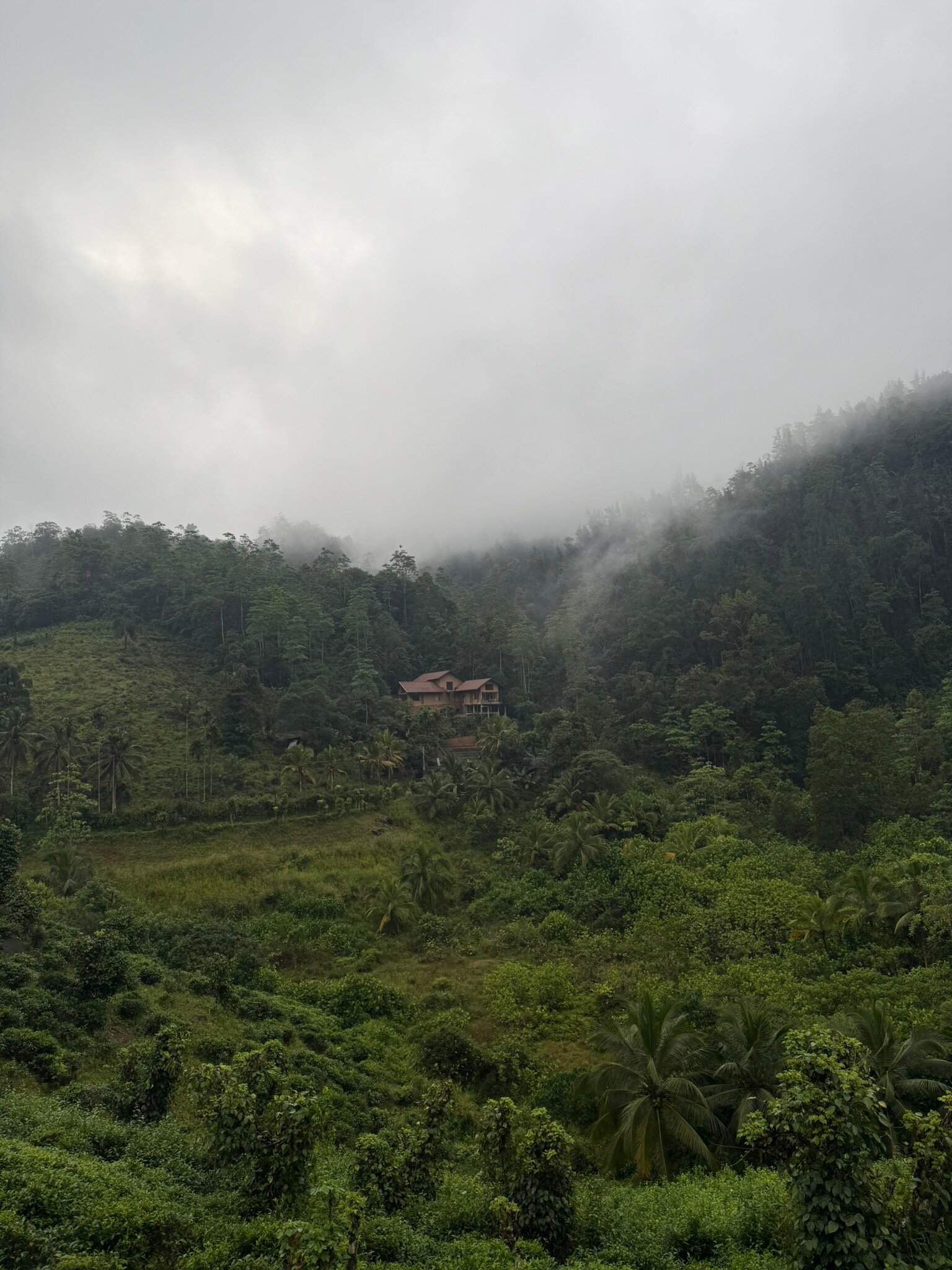 Jansens Bungalow-官方