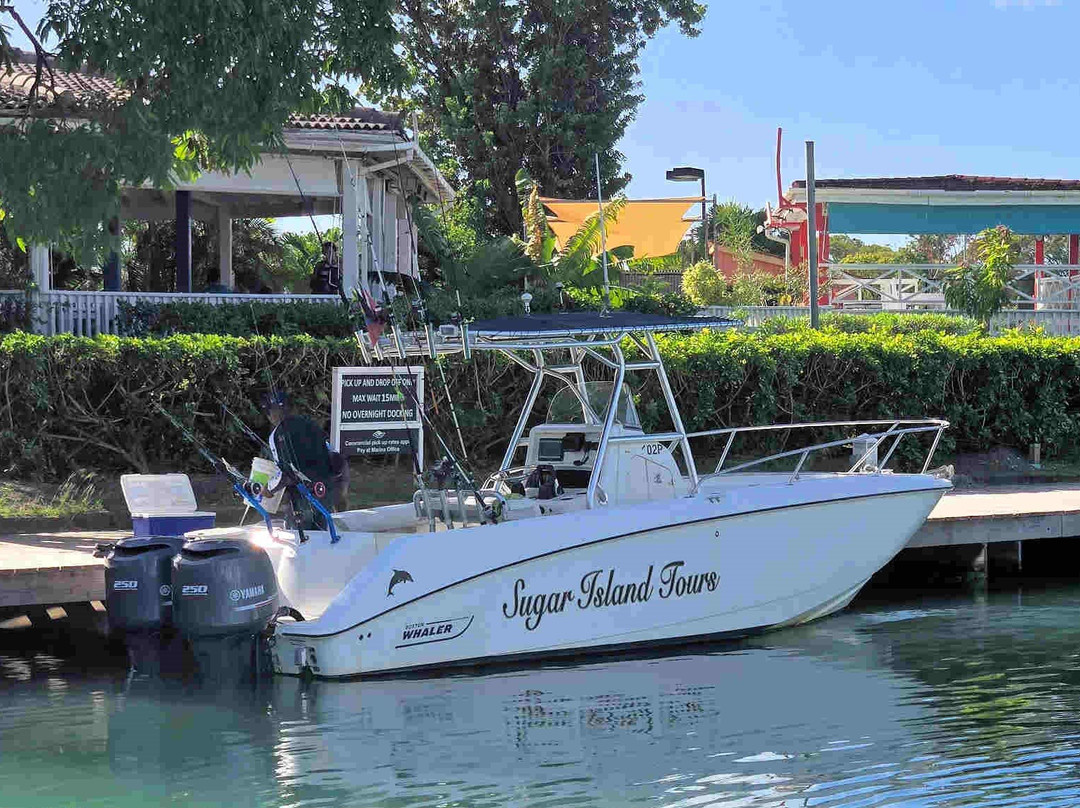 Sugar Island Tours-Jolly Harbour必去景点