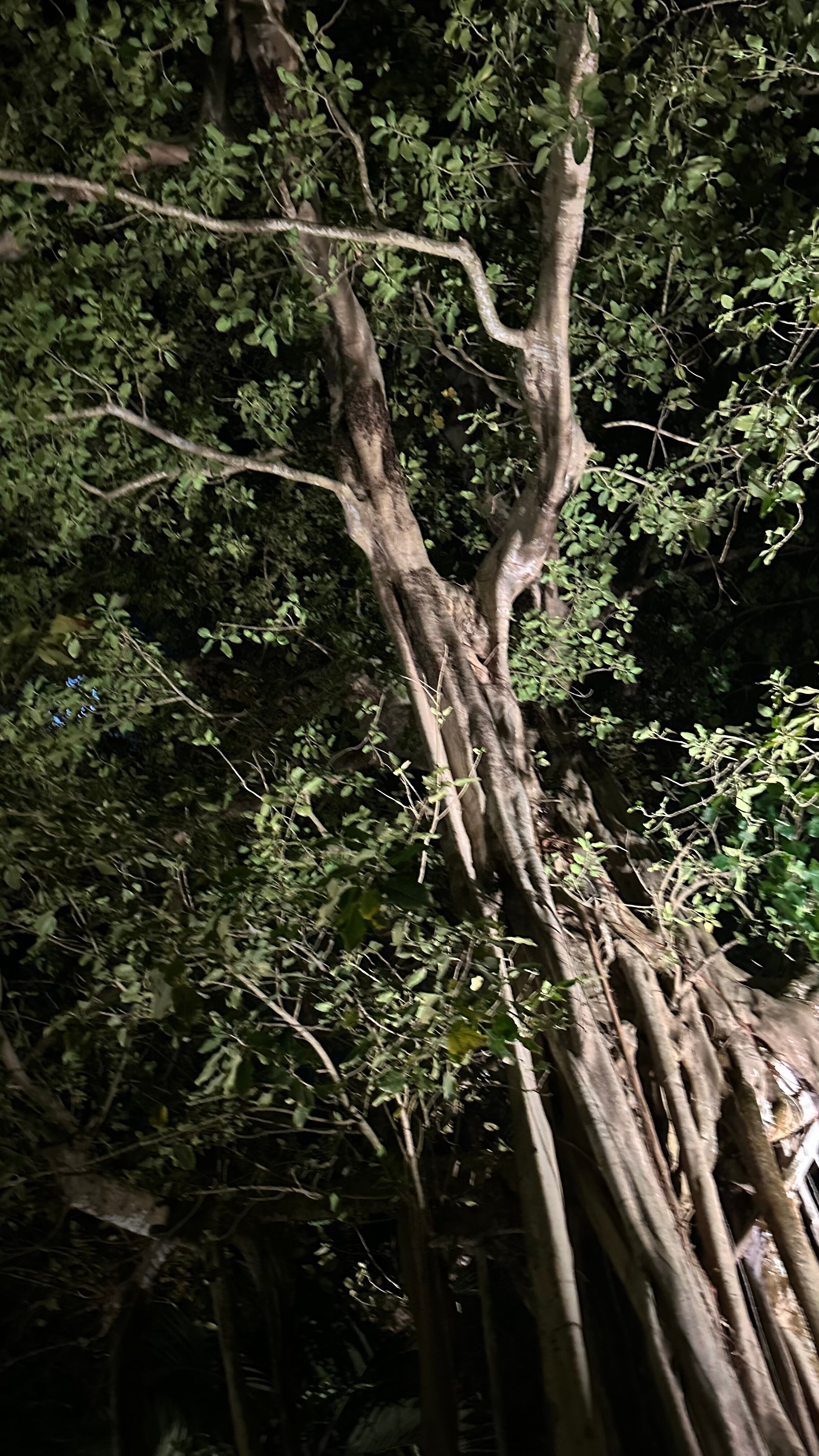 库拉玛蒂岛度假酒店-浴室