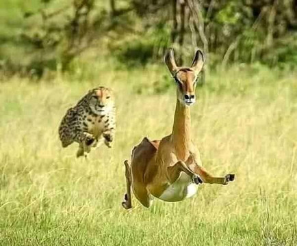 TRIP TRAILS ADVANCE-内罗毕必去景点