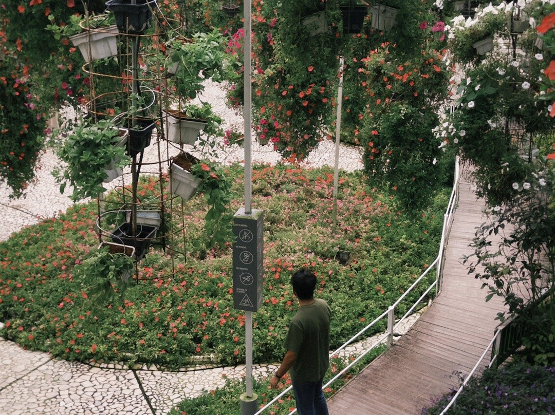 Cameron Highlands Flora Park-碧兰璋必去景点