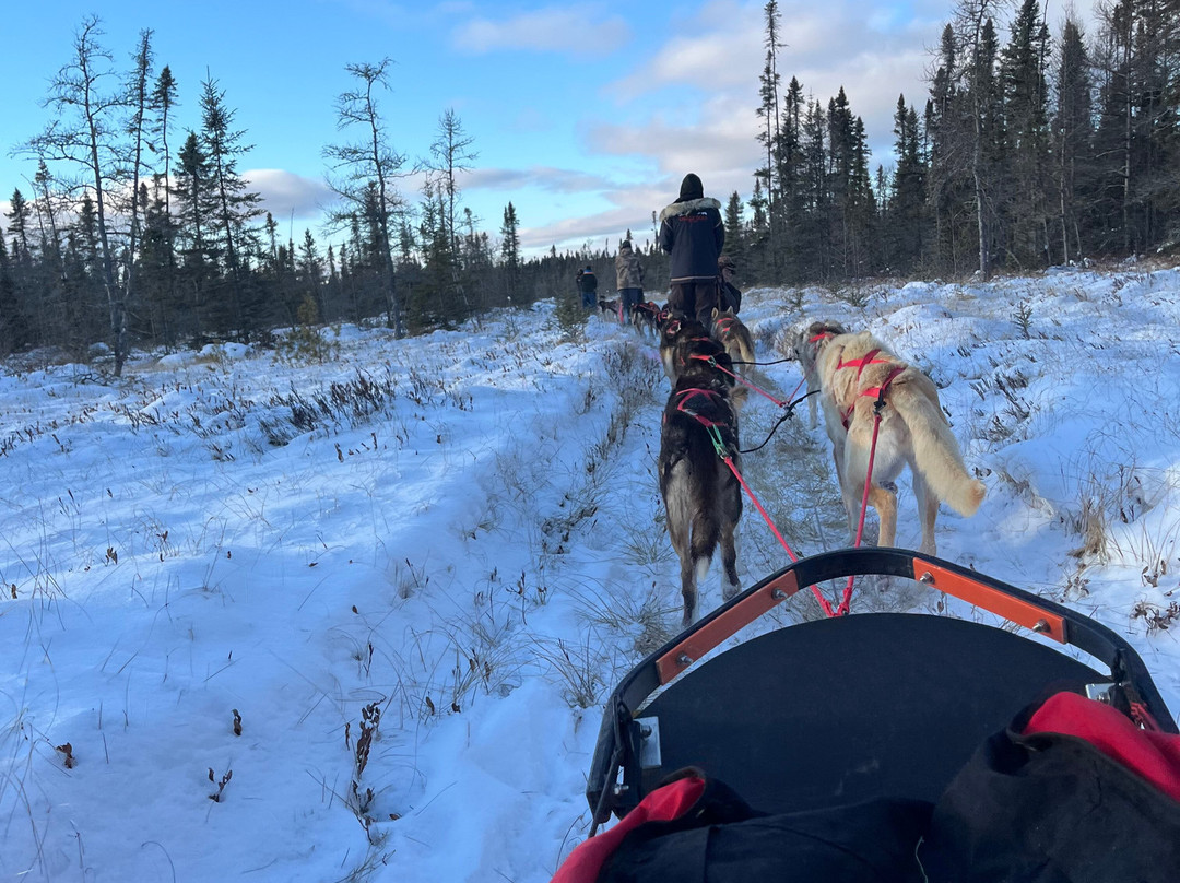 Chilly Dogs Sled Dog Trips-伊利必去景点