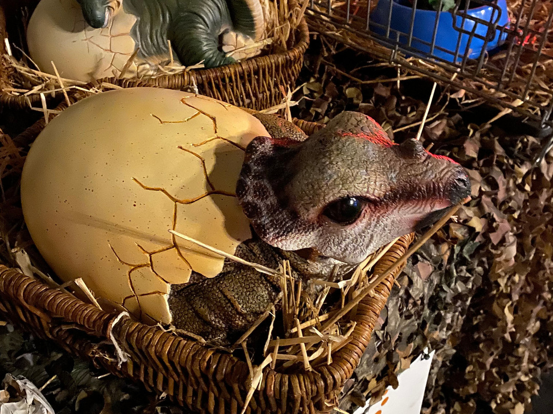 Venue16-伊普斯威奇必去景点