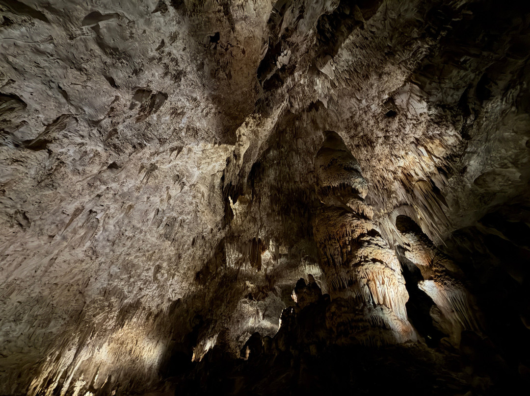 Bottomless Pit-卡尔斯巴德洞穴国家公园必去景点