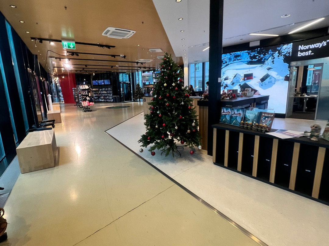 Bergen Tourist Information-卑尔根必去景点