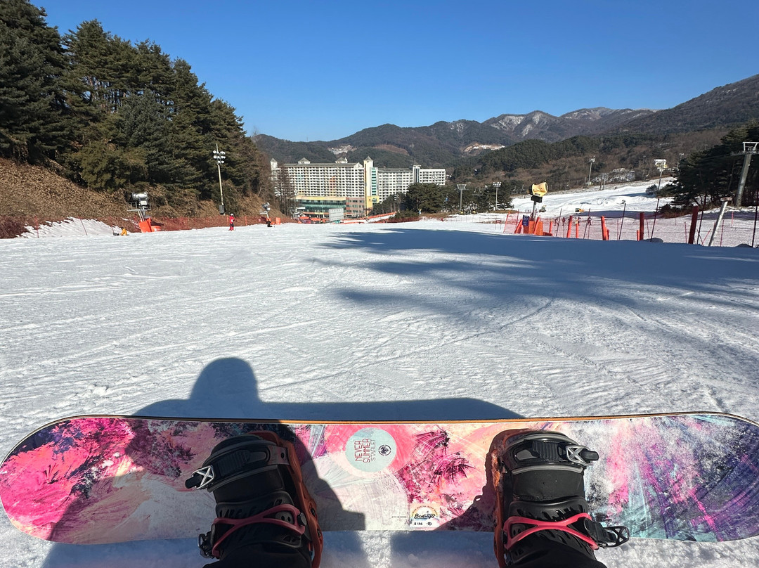 Baekya - Welli Hilli Park-横城郡必去景点