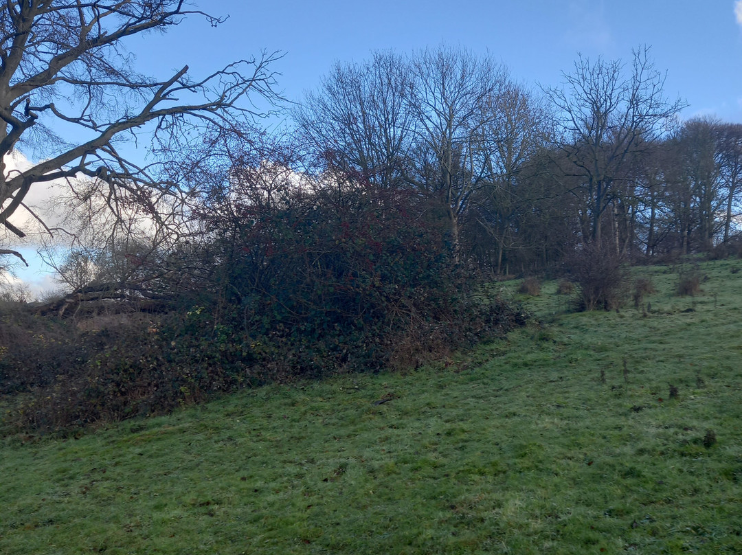 Coombe Hill-艾尔斯伯里必去景点