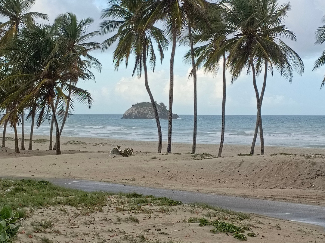 Agua Dorada Beach Hotel主图