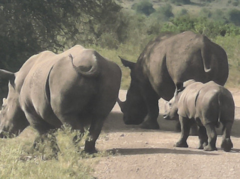 Kenya Tour Budget Safari-内罗毕必去景点