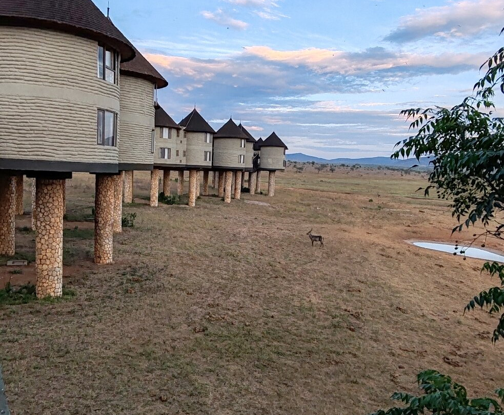 Oranje Safari-迪亚尼必去景点