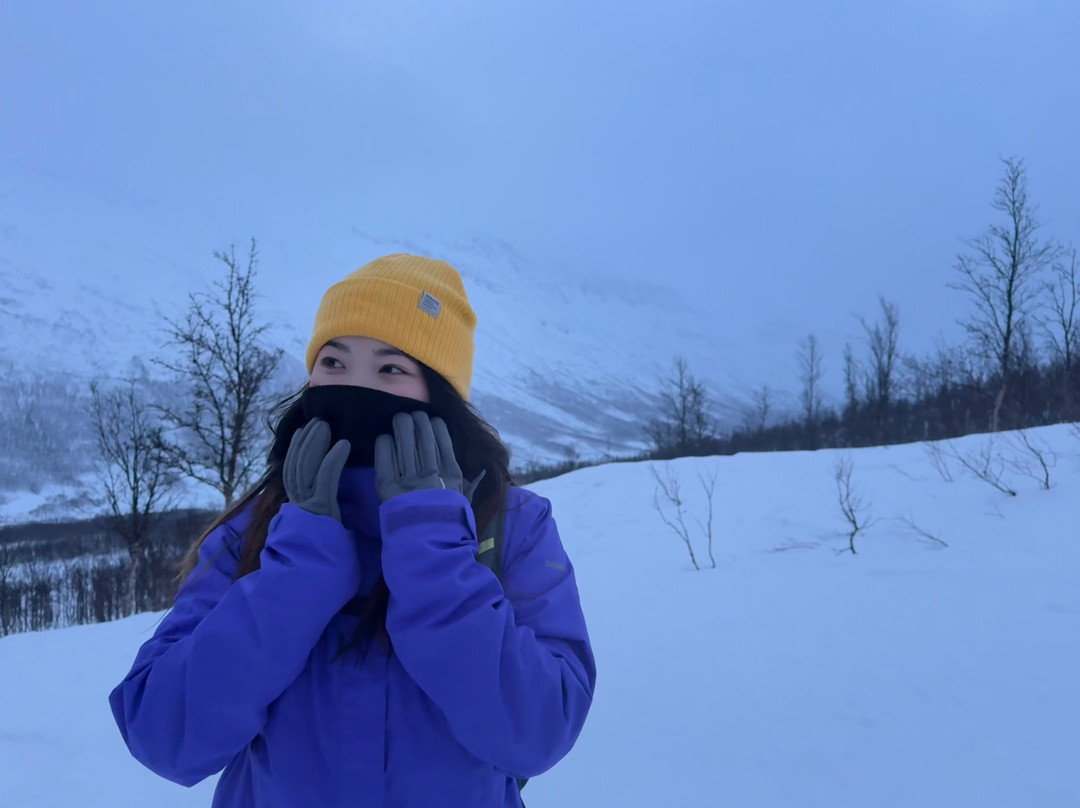 迷途夜鹰极光探索之旅-特罗姆瑟必去景点