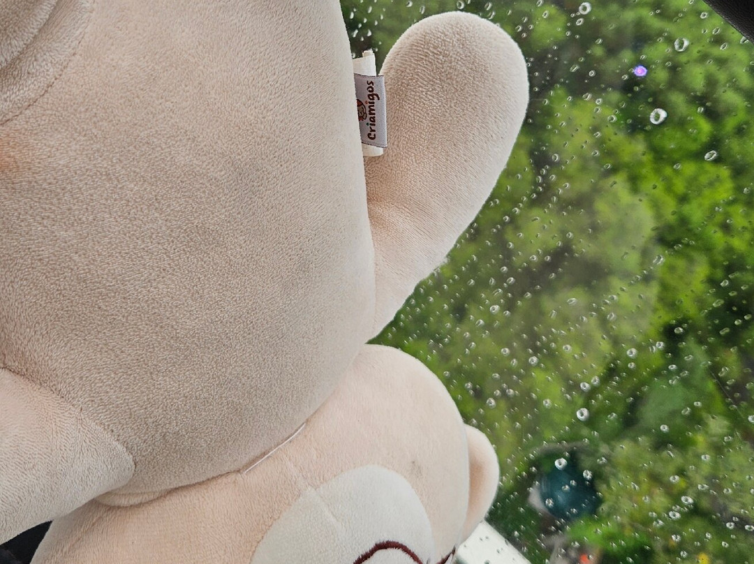 Roda Canela-卡内拉必去景点