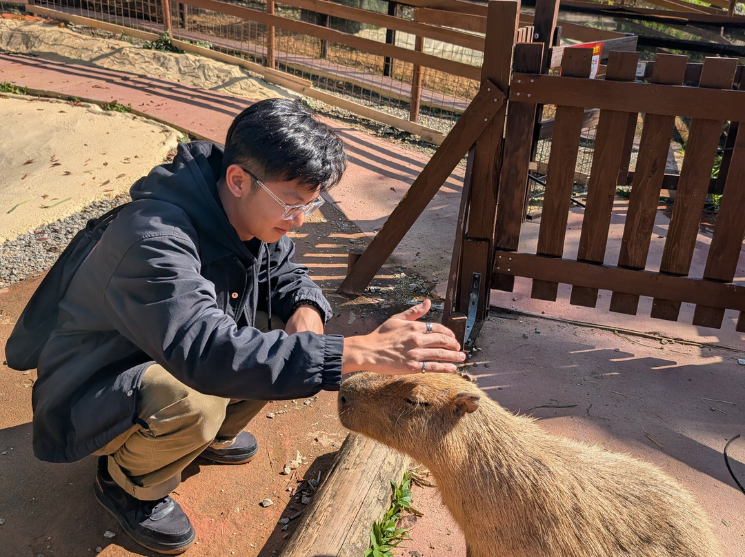 东南植物乐园-冲绳市必去景点