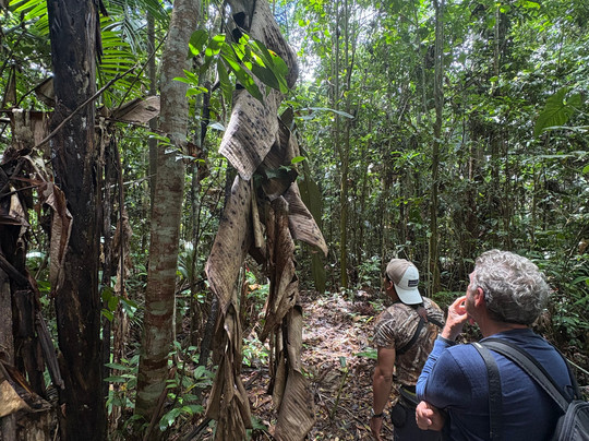 Imperios Travel-利马必去景点
