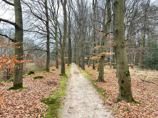Veluwe Hotel Stakenberg主图