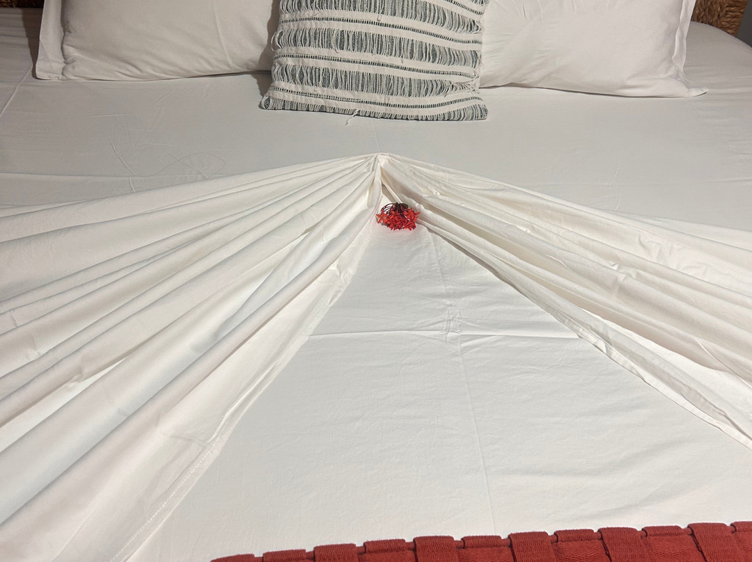 Pousada Rancho das Dunas主图