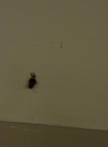 德里机场Z套房酒店主图