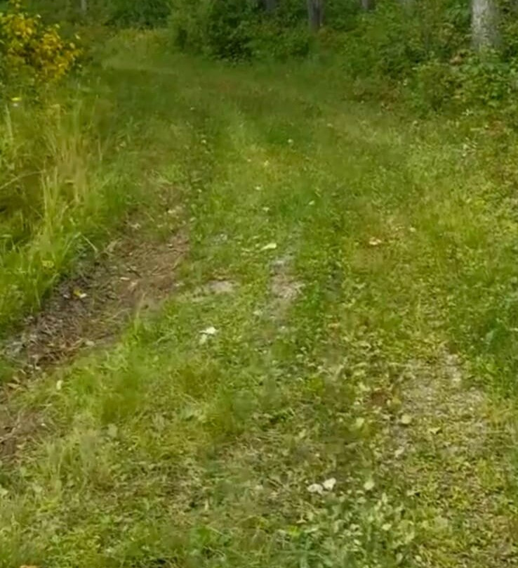 Prince Albert National Park-Waskesiu Lake必去景点