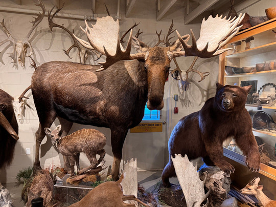 Hand of Man - Museum of Natural History, Cultural Arts & Conservation-邓肯必去景点