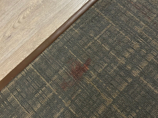 Residence Inn by Marriott Williamsburg主图