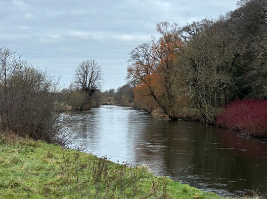 Lismacue House主图